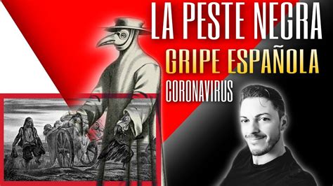 La peste negra bubónica, conocida popularmente como peste negra o simplemente la peste, es una enfermedad grave y muchas veces fatal, causada por la bacteria yersinia pestis, que se transmite a los seres humanos a través de la picadura de las pulgas, principalmente de roedores. LA PESTE NEGRA, LA GRIPE ESPAÑOLA, CORONAVIRUS y Uso de ...