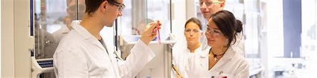 Pharmazie (Staatsexamen) : Fachbereich Chemie : Universität Hamburg