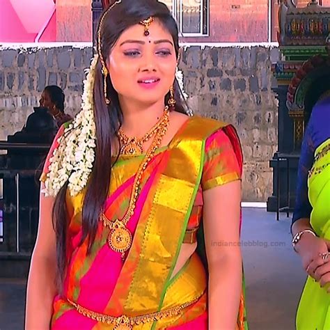 Priyanka Nalkari Tamil Serial Actress Roja S1 17 Sari Photo