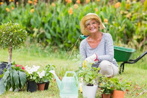 Top 5 Hobbies For Older Adults Your Community Senior Living