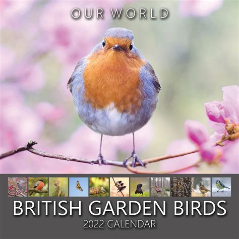 Our World Bird Calendar 2022 British Garden Birds Wall Calendar Uk