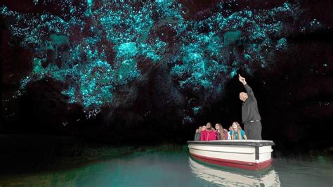 Waitomo Glowworm Caves Boat Tour