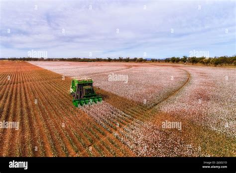 Cotton Harvesting Combine Tractor On Brown Soil Farm Field In Australia