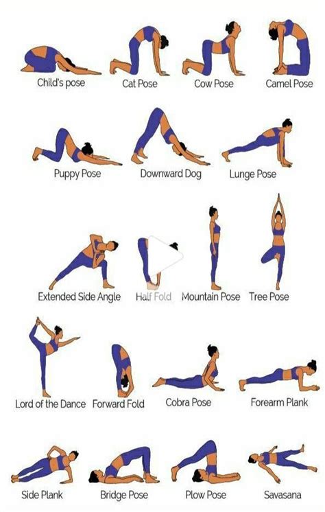 4 Yoga Poses For Balance And Strength For Elders Yoga Balance Poses