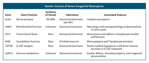 The Many Causes Of Severe Congenital Neutropenia — Nejm