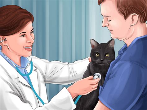 How To Treat A Poisoned Cat 13 Steps With Pictures Wikihow