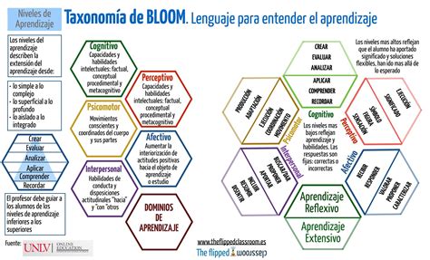 La Taxonomía De Bloom Un Lenguaje Para Entender El Aprendizaje The
