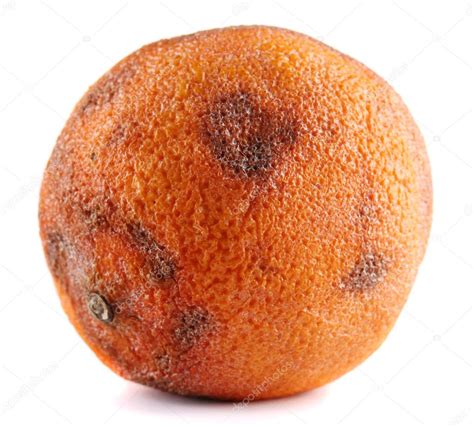 Rotten Orange Isolated On White — Stock Photo © Belchonock 12915976