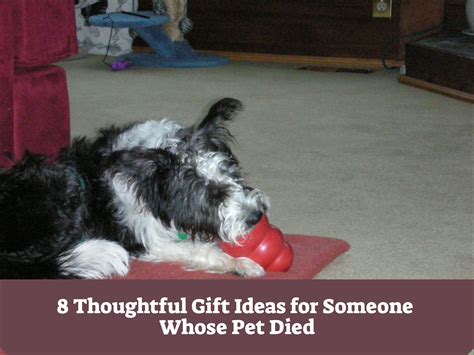 What do you give as a sympathy gift? 8 Thoughtful Gift Ideas for Someone Whose Pet Died in 2020 ...
