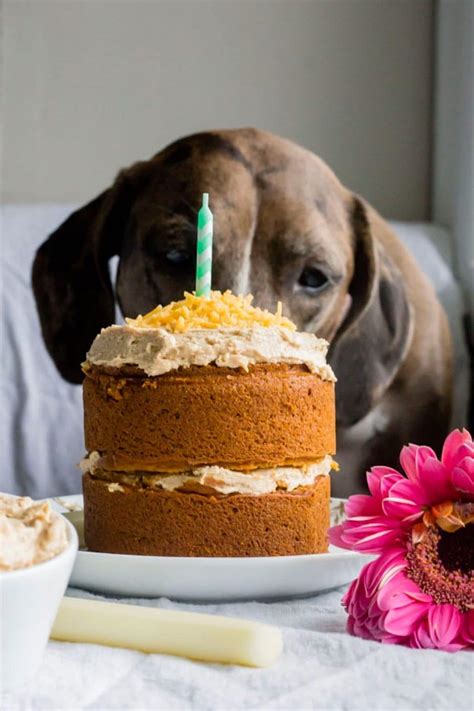 How To Make A Doggie Birthday Cake Atkins Anglover