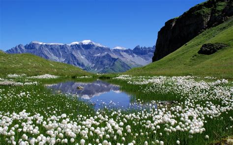 Mountains Landscapes Nature Switzerland Lakes Alpine Alps Meadows White