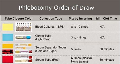 Order Of Draw Phlebotomy Bornmodernbaby