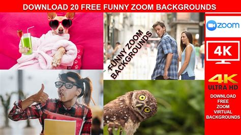 Background Virtual Hilarious Sports 99 Funny Zoom Virtual