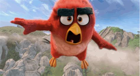 How Well Do You Know The Angry Birds Movie Yayomg