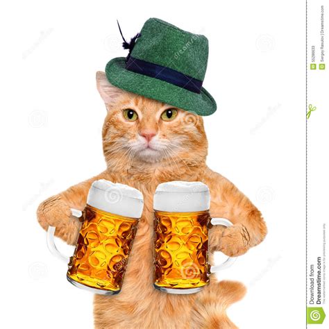 Cat With A Beer Mug Stock Photo Image 55286633