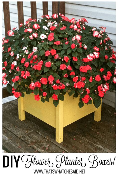 This plan builds a fairly large planter box, coming in at 60 x 36. DIY Flower Planter Boxes - That's What {Che} Said...