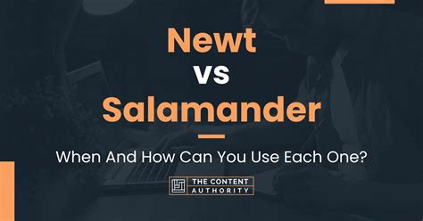 Newt Vs Salamander When And How Can You Use Each One