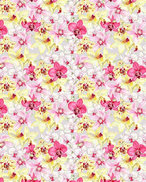 Orchid Design Wallpapers Top Free Orchid Design Backgrounds