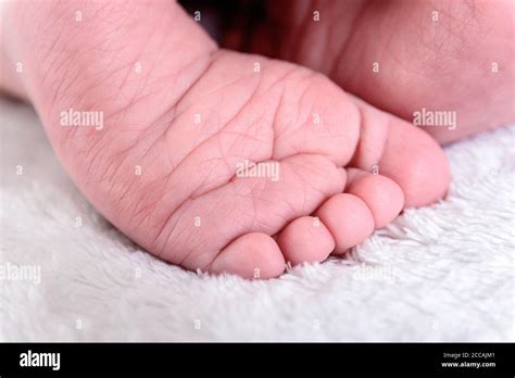 Newborn Feet Close Up On White Background Baby Body Part Concept Stock