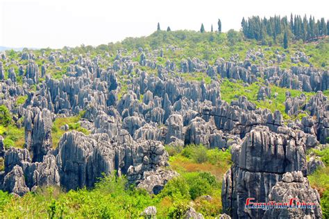 Spectacle Karst Landform Of Kunming Stone Forest Geopark Easy Tour China