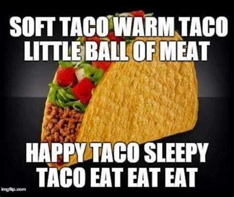 30 Hilarious Taco Memes Because Tacos Arent Just For Tuesday Theyre
