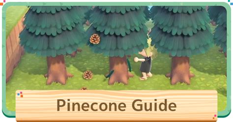 Acnh Pine Cones − How To Get And Uses Animal Crossing Gamewith