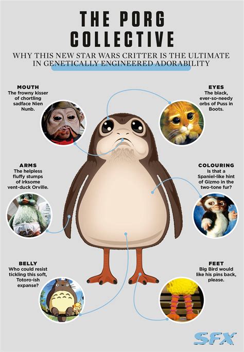 Sfx Magazine On Twitter Wondering Why You Find Porgs So Cute Youd