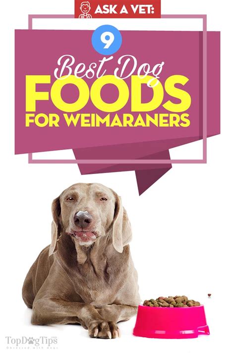 You can find some excellent foods. Best Dog Food for Weimaraner: 9 Vet Recommended Brands