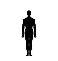 Naked Standing Man Royalty Free Vector Image Vectorstock