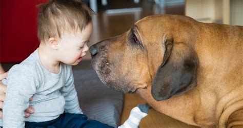 Hollywood Hot Mom (@HollywoodHotMom) / Twitter