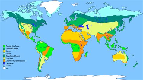 Where Are Earths Most Diverse And Productive Biomes Located