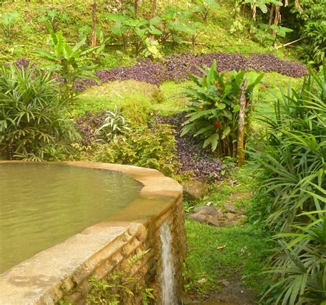 Ti Kwen Glo Cho Hot Springs Dominica Atualizado 2023 O Que Saber Antes De Ir Sobre O Que