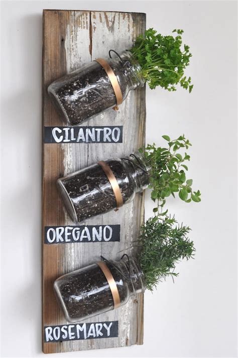 Indoor Mason Jar Herb Garden Whiskey Riff