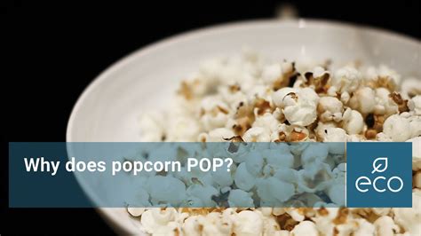 Why Does Popcorn Pop Youtube
