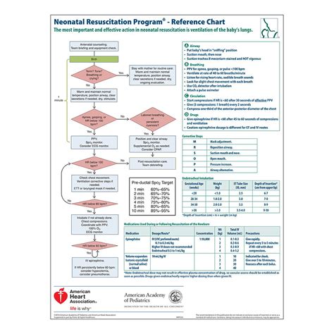 Aap Nrp® Wall Chart 7th Edition Worldpoint®