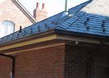 Welte Roofing