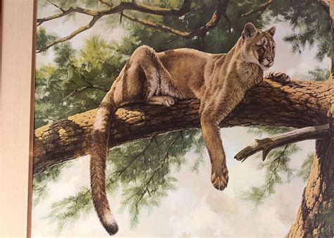 signed offset lithograph of cougar in tree by guy coheleach ebth