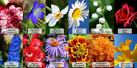 The following is a list of birthstone gems and flowers for each month of the year. Guide to Birthday Flowers by Month | Blooms Today