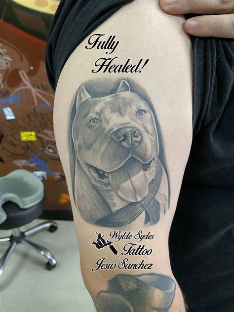 Fully Healed Pitbull Portrait Tattoo By Jesus Wyldesydestattoo