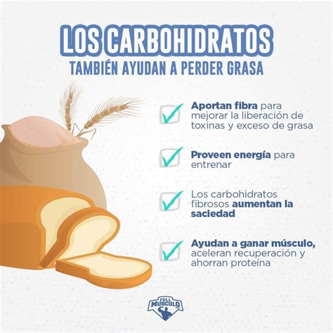 Descubre Las Diferencias Entre Los Carbohidratos Buenos De Los Malos Carbohidratos Buenos