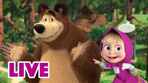 🔴 Live Stream 🎬 Masha And The Bear 🏃😄 Catch And Run 🏃😄 Youtube