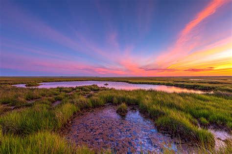 Demise of the land card information, decks and statistics. Of Land — Greg Molyneux Photography