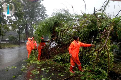 Jakarta Diguyur Hujan Deras Disertai Angin Kencang 6 Juli 2024 4 Pohon