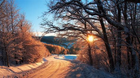 Nature Winter Snow Trees Forest Sunset Rays Wallpaper