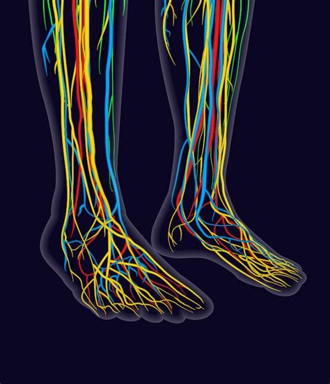 Advanced Care For Neuropathy Austin Foot And Ankle Specialists