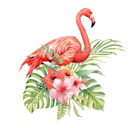 Watercolor Flamingo In Tropical Bouquet Elements Pintura De Flamingo