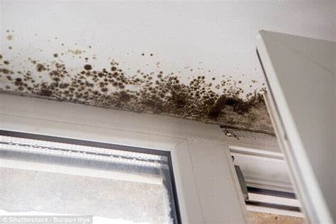 How To Get Rid Of Damp In Your House House Poster