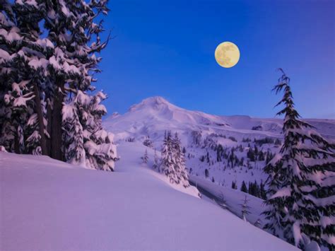 Winter Nature Snow Scene Free Desktop Wallpapers For