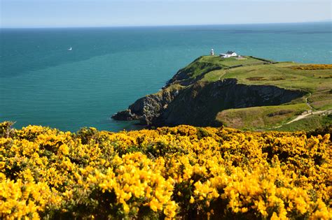 Howth The Harbour Peninsula And Cliffs County Dublin Ireland