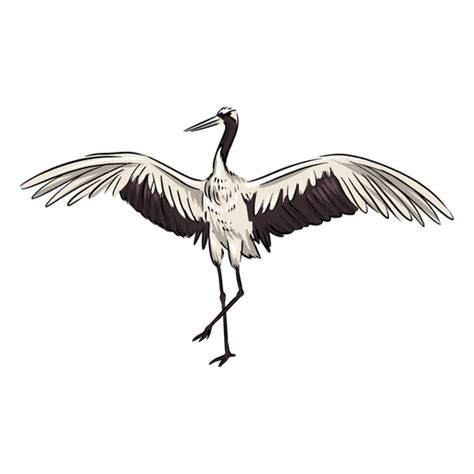 White Crane Bird Transparent Png And Svg Vector File